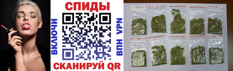блэк спрут как войти  Кашин  Бутират жидкий экстази 