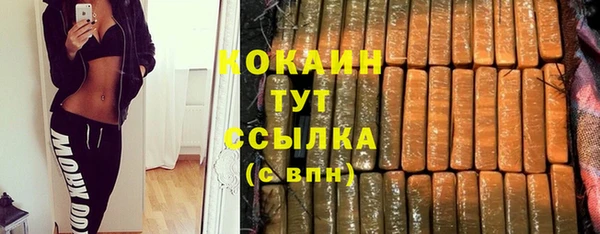 прущие грибы Ельня